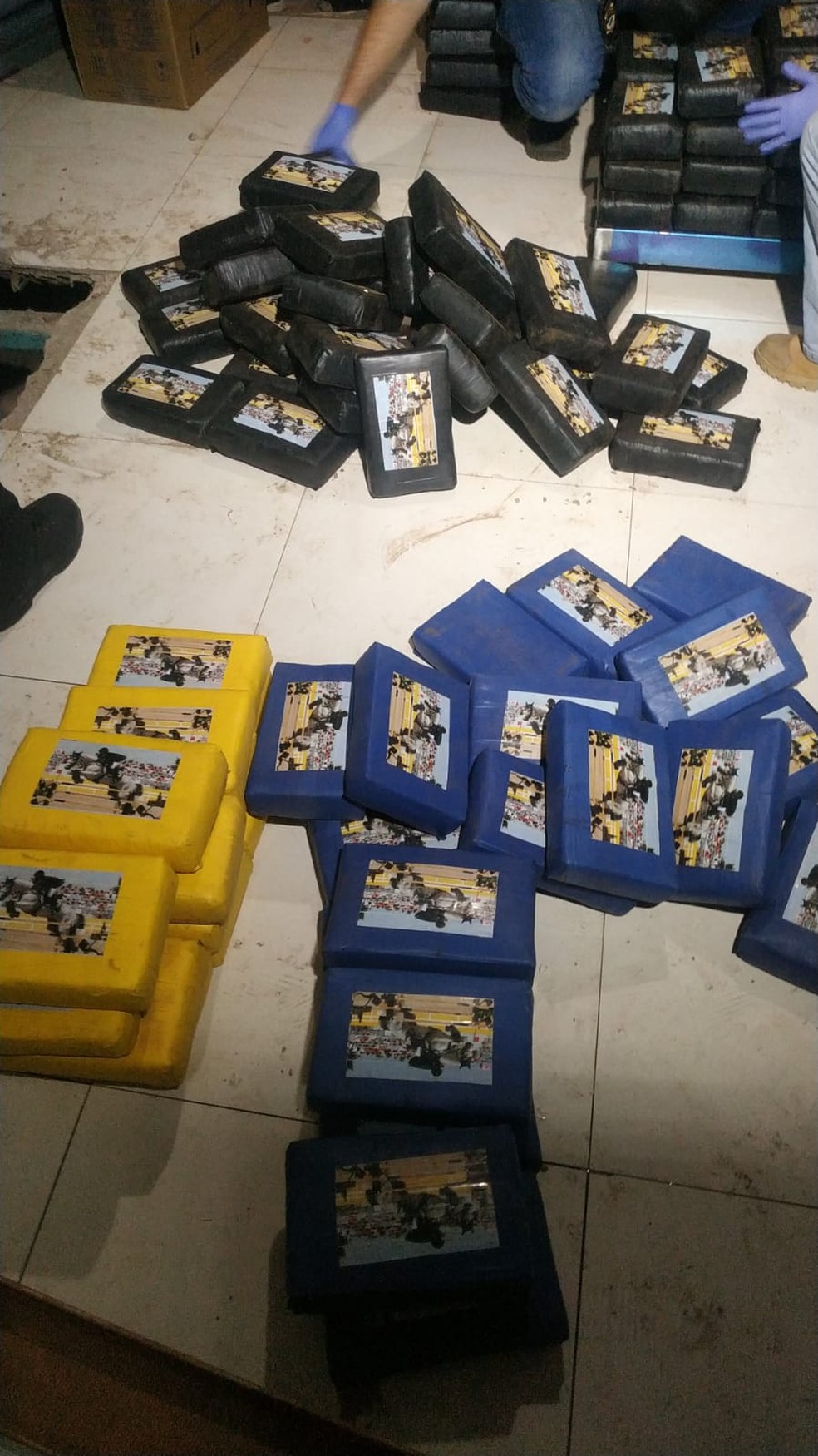 Tabletes de cocaína apreendidos em Campo Grande — Foto: Itamar Silva/TV Morena
