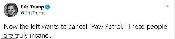 O post do filho de Donald Trump lamentando o pedido de cancelamento de Patrulha Canina (Foto: Twitter)