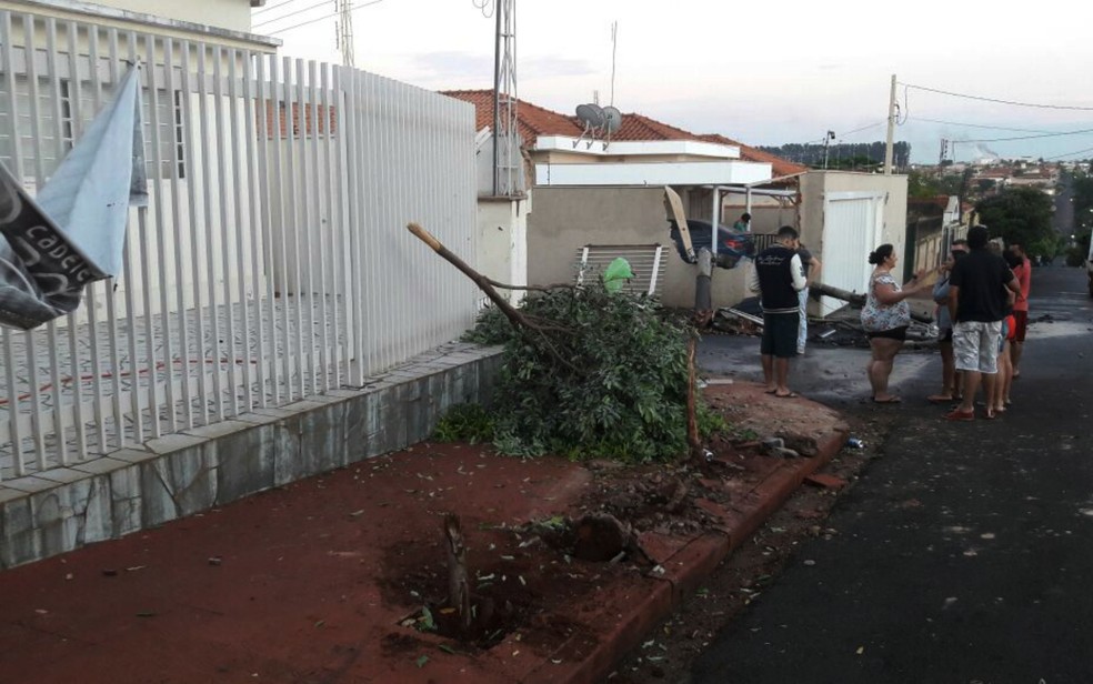 Adolescente pegou carro escondido do pai, perdeu o controle do veículo e colidiu em árvore e muro em São Joaquim da Barra (SP) (Foto: Reprodução/EPTV)