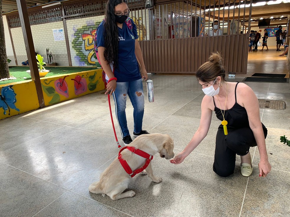 Cadela Nina com estudante e diretora Eufrázia, do CED 8 do Gama, no DF — Foto: g1 DF