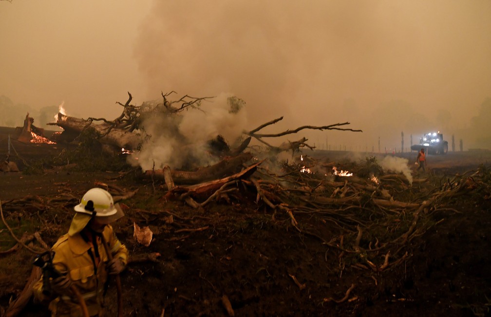 5 de janeiro - Uma árvore em chamas é derrubada para evitar que caia em um carro durante os incêndios flroestais em Nova Gales do Sul, na Austrália  — Foto: Tracey Nearmy/Reuters
