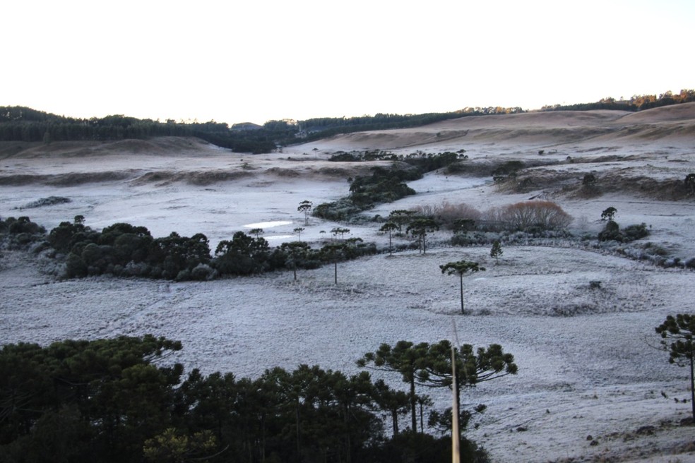 Paisagem da Serra catarinense amanheceu coberta por uma fina camada de gelo  — Foto: Mycchel Legnaghi/São Joaquim Online