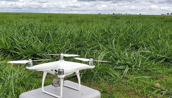 Na Bahia, pesquisa avalia monitoramento de pastos com drone