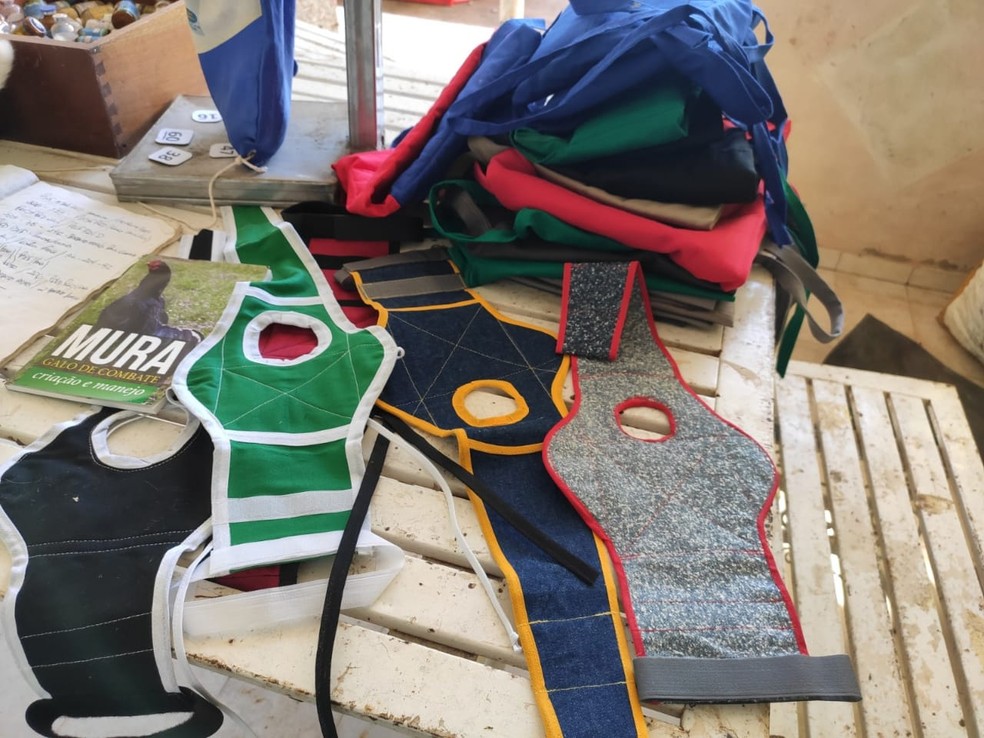 Polícia apreendeu materiais utilizados em rinha de galos em Avaí — Foto: Polícia Civil/Divulgação