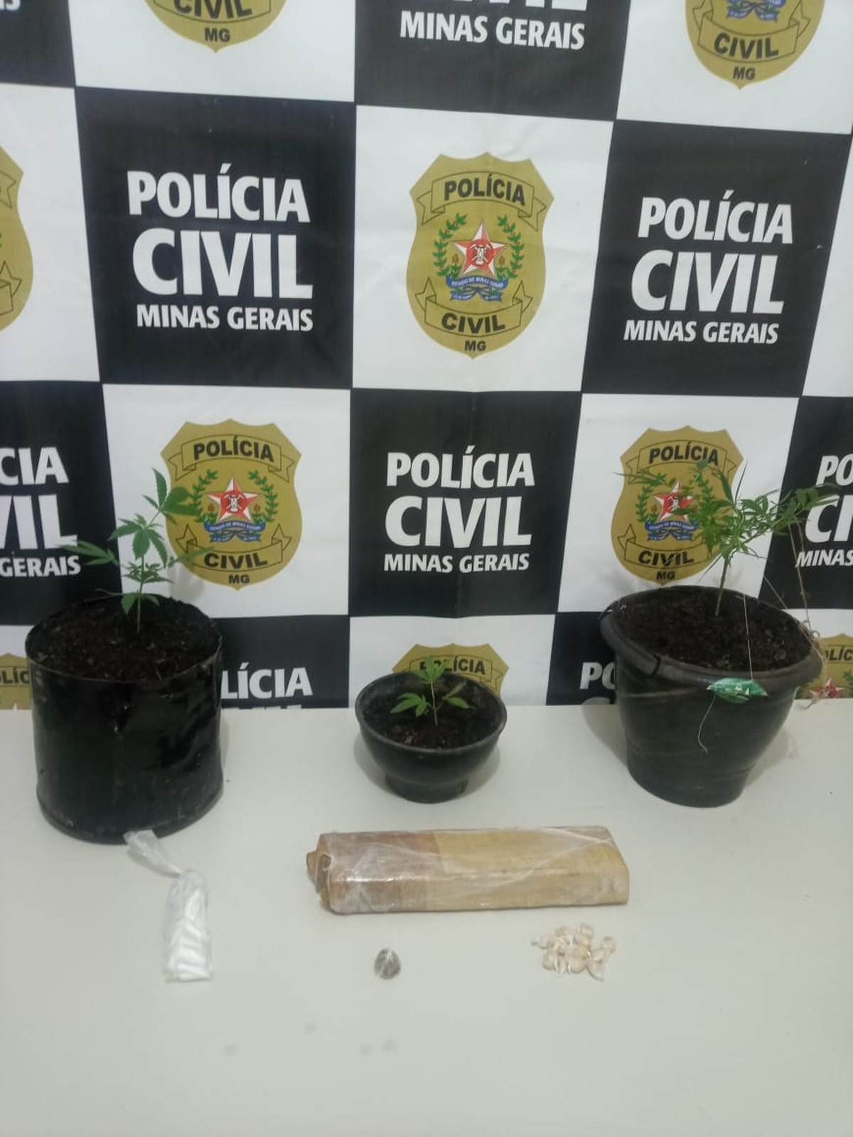 Jovem é preso com pés de maconha, tablete e cocaína em Montes Claros