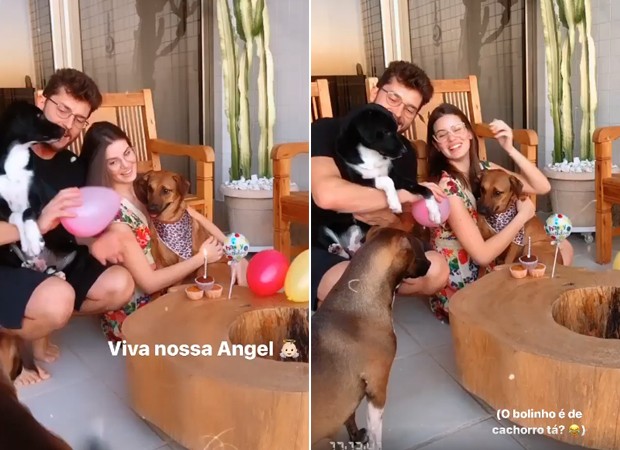 Camila Queiroz e Klebber Toledo fazem festa de aniversário para pet (Foto: Reprodução / Instagram)