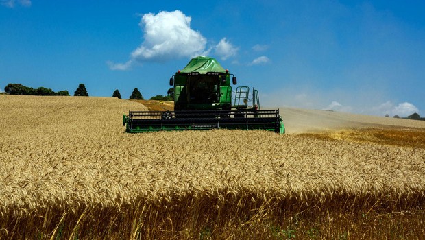 Agronegócio, trigo, colheita, paraná, grãos (Foto: Antonio Costa/Fotos Públicas)