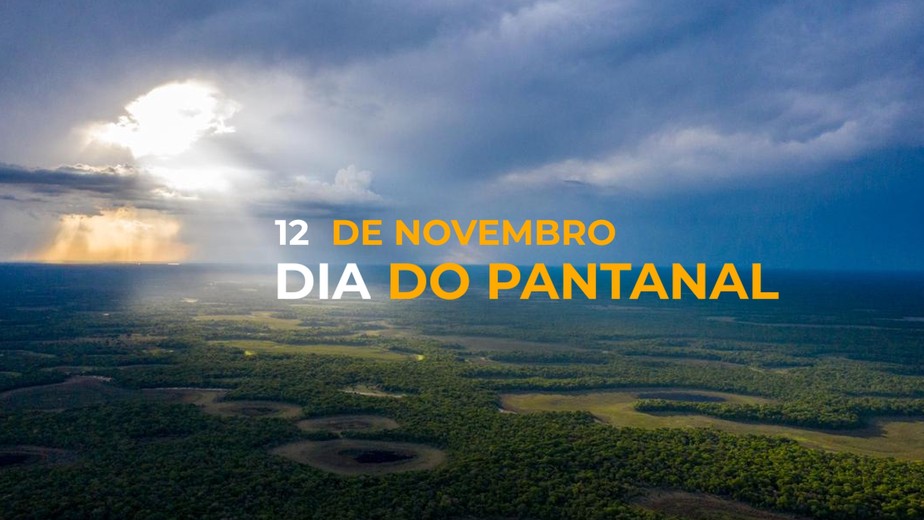 Dia 12 de novembro, Dia do Pantanal