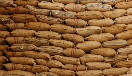 Sacas de café empilhadas para exportação (Foto: Reprodução/Federación Nacional de Cafeteros)