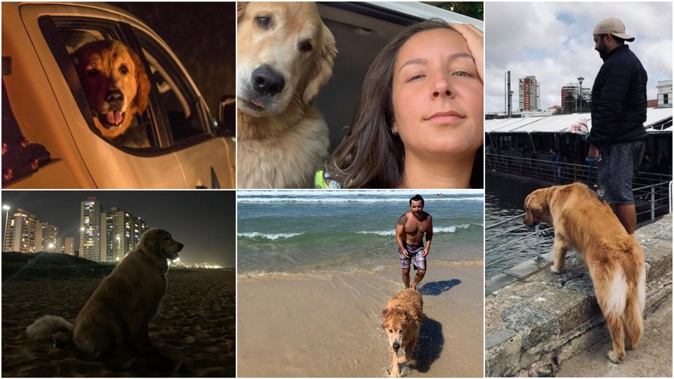 Vinicius, Thalia e o Chopp já conheceram 28 cidades e pretendem viajar até o Alaska, nos Estados Unidos — Foto: Thalia Pinheiro