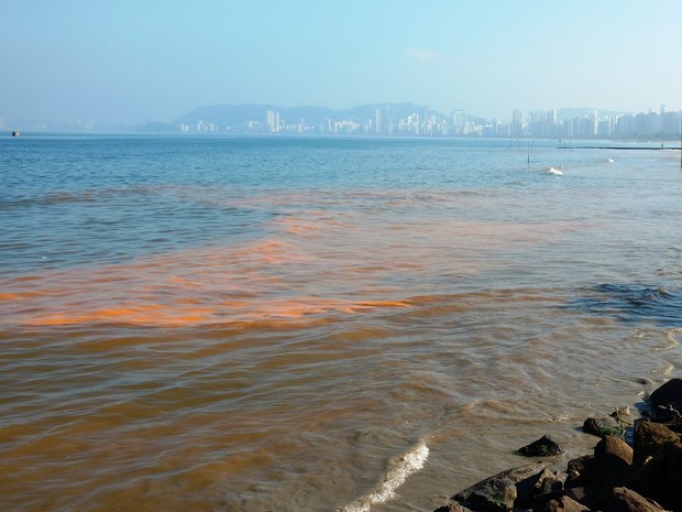 CETESB identificou o organismo que causa a chamada "maré vermelha" (Foto: Gisela Bello/Arquivo Pessoal)