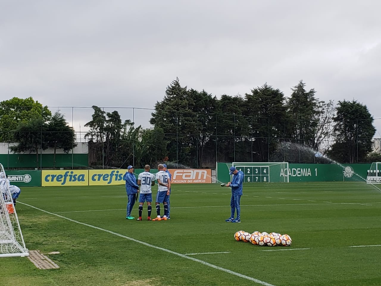Felipe Melo e Deyverson voltam ao Palmeiras sem definição sobre suspensões