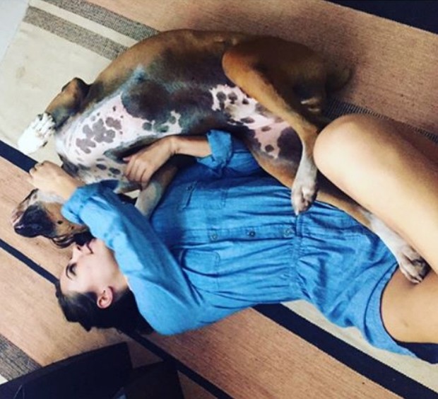Paolla Oliveira acorda ao lado da cadela de estimação e compartilha momento de carinho (Foto: Reprodução Instagram)