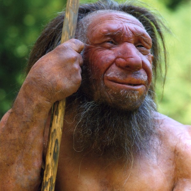 Imagem de uma simulação realistica da aparência de um Homo sapiens (Foto: Wikimedia Commons \ Museu Neandertal de Mettmann ( Alemanha))