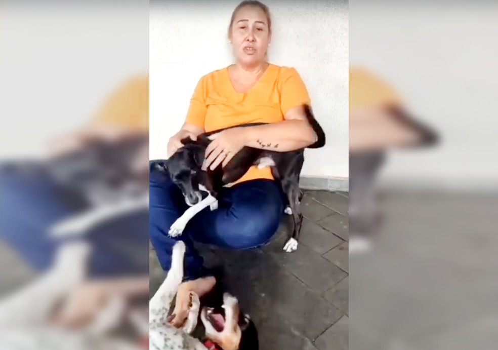 Justiça manda dona retirar cães de casa após vizinha reclamar de latidos em Assis 