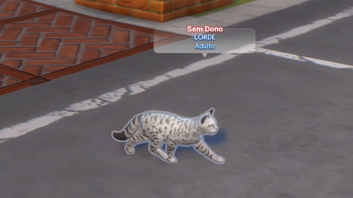 Como Adotar Um Animal Em The Sims 4 Gatos E Caes Jogos - roblox adotei um cachorro e um gato no simulador de pets baixar