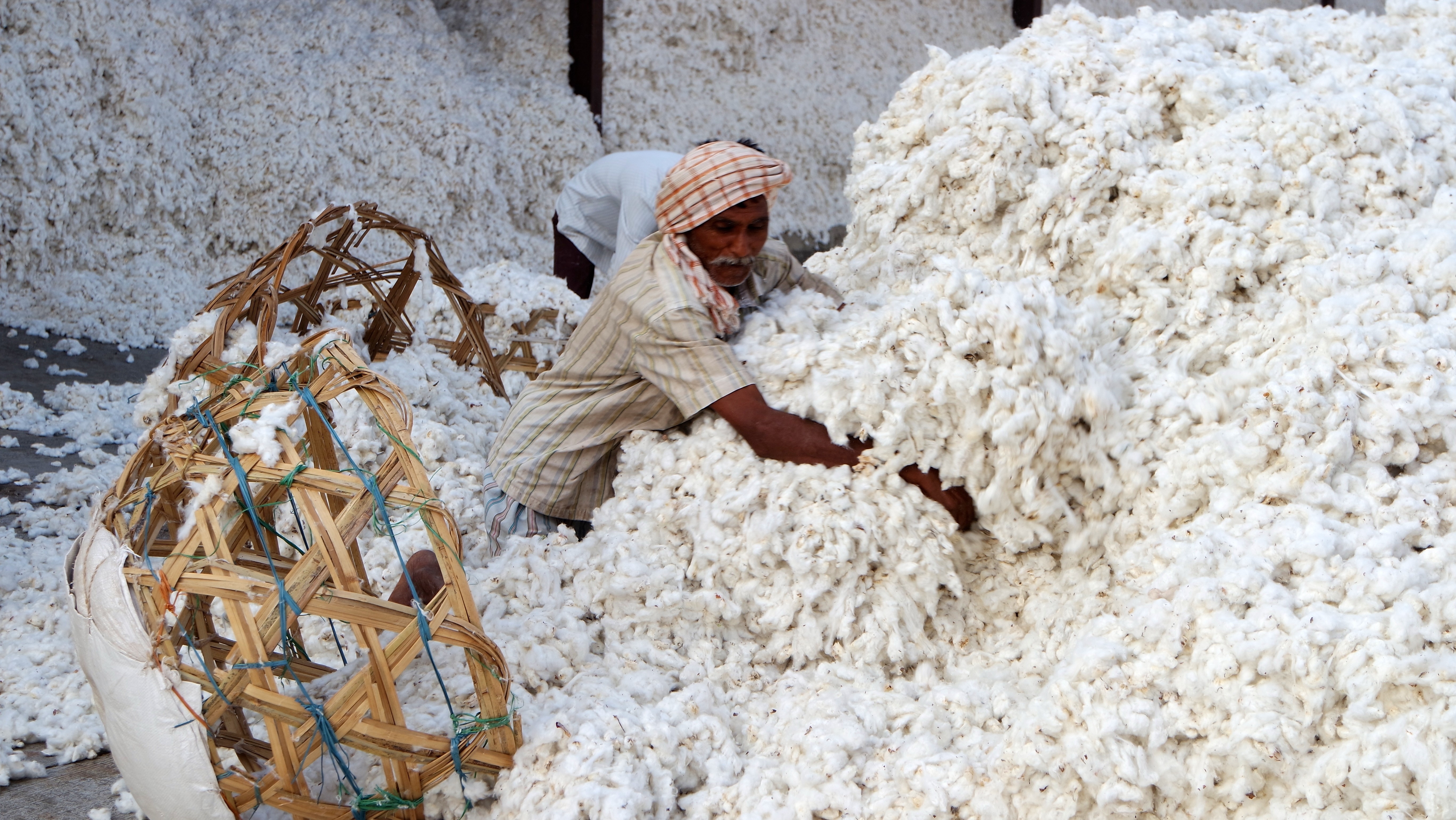 Trabalhadora na fábrica de algodão orgânica em Ginning (Foto: Mirella Pappalardo/Divulgação)