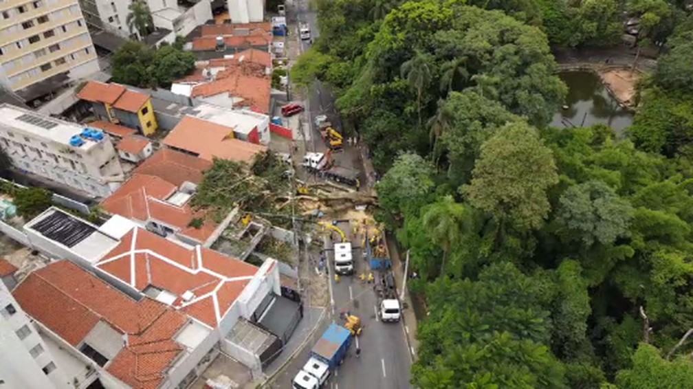 Árvore de 35 metros de altura cai e mata homem em Campinas (SP) — Foto: Sérgio Rovere - Droneros
