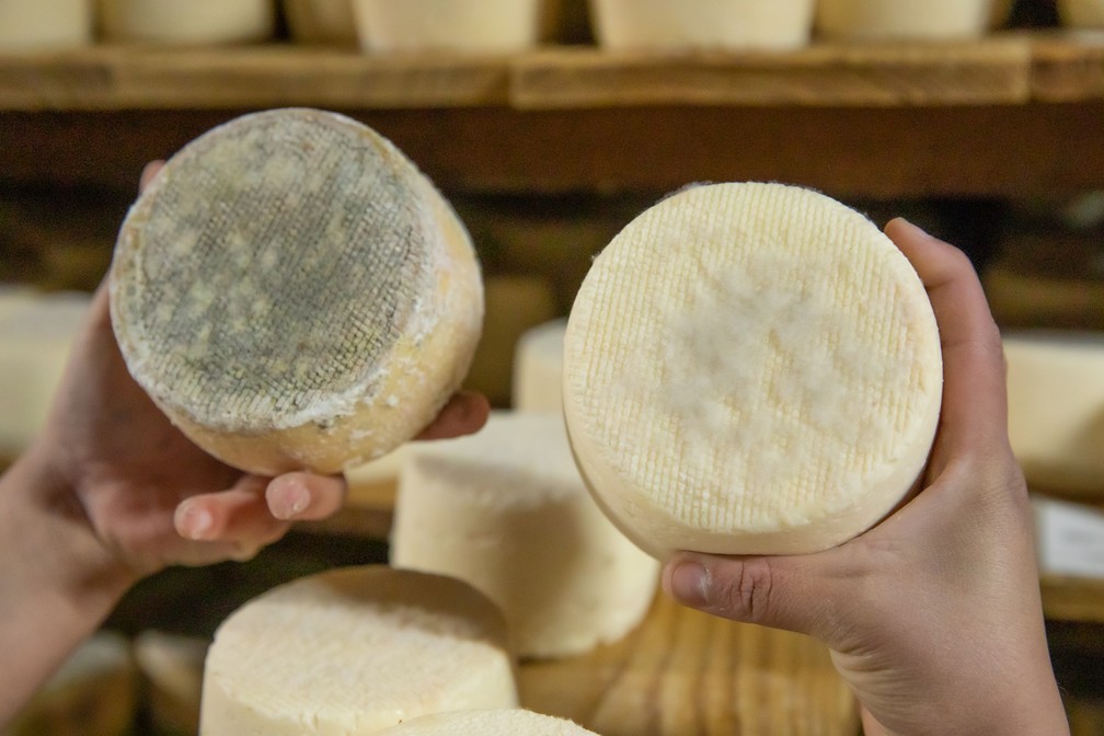 Mofo crescendo no queijo no queijo Cuestinha, no Pardinho Artesanal — Foto: Celso Tavares / g1