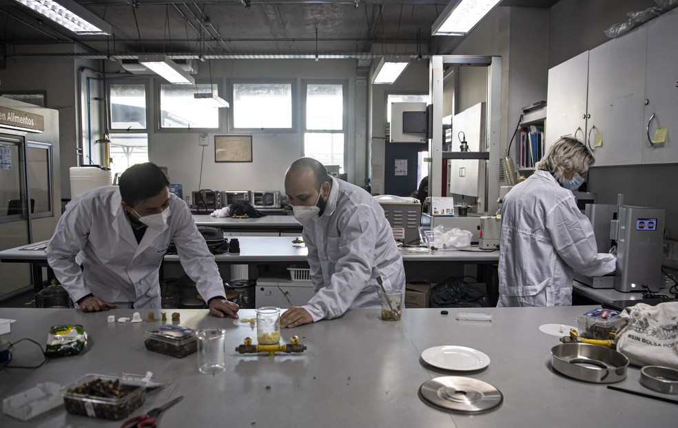 O engenheiro de alimentos Roberto Lemus (à esquerda) e os estudantes Marcelo Bertran (ao Centro) e Alonso Vasquez trabalham no laboratório da Universidade do Chile — Foto: AFP