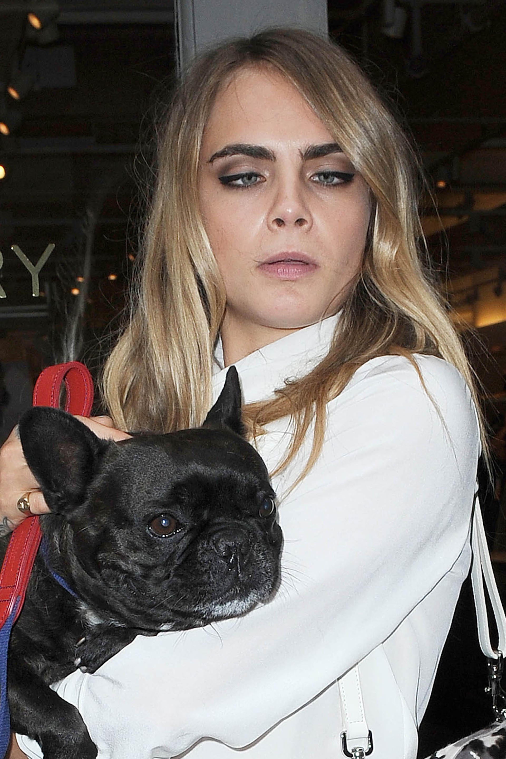 Cara Delevingne (Foto: The Grosby Group)