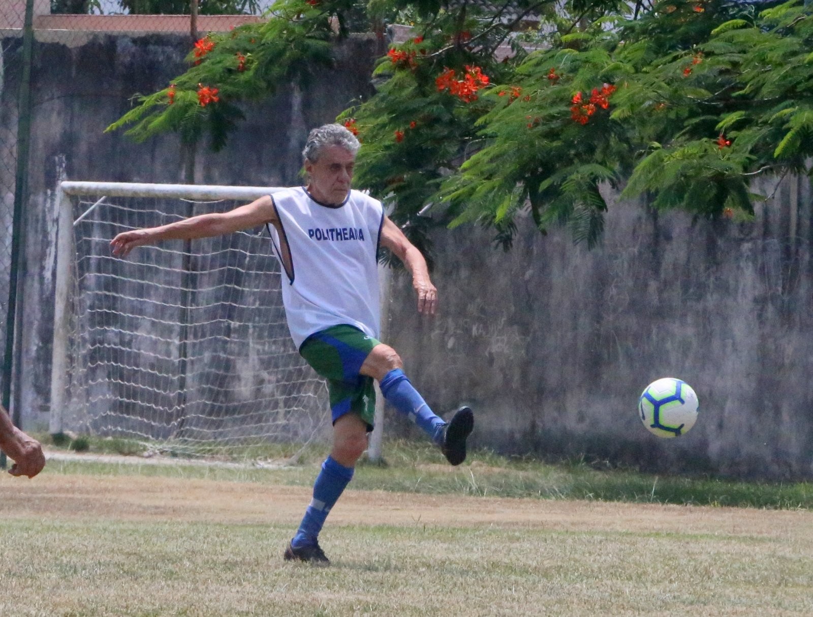 Aos 75 anos, Chico Buarque joga futebol com amigos no Rio - Quem