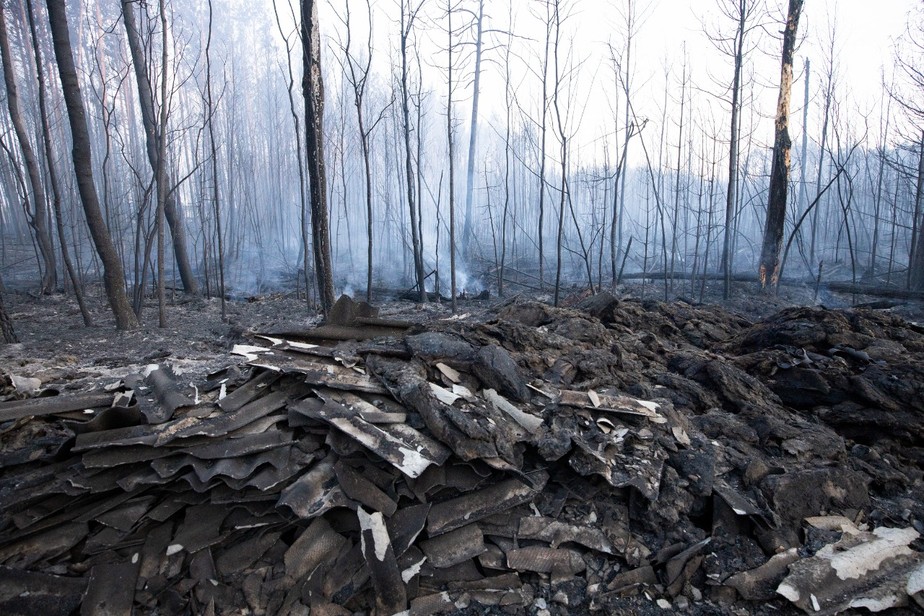 Cerca de 800 mil hectares de floresta foram destruídos na Sibéria (Rússia), região envolvida pela fumaça