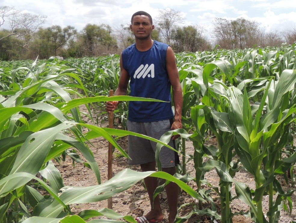 Quando está de folga do time, Daniel ainda trabalha nas plantações da região — Foto: Rômulo Alcoforado