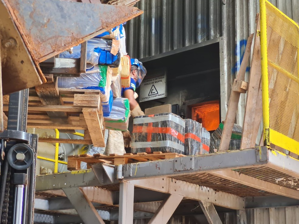 Queima de entorpecentes em Dourados — Foto: Defron/Divulgação