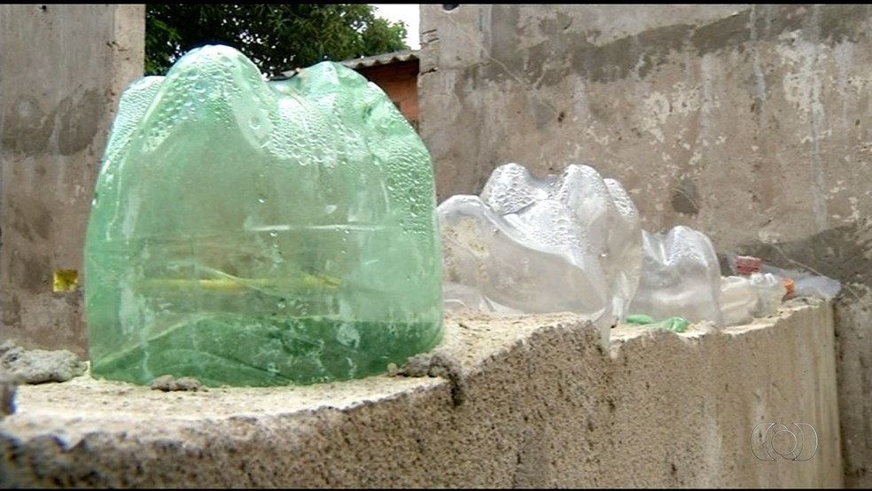 Foram utilizadas 2,7 mil garrafas pet na construção do imóvel (Foto: Reprodução/ TV Anhanguera)