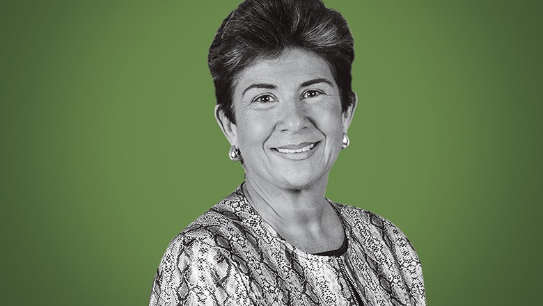 Vera Ribeiro, presidente da Vetnil (Foto: Celso de Menezes/Divulgação)
