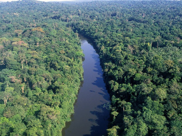 Vista aérea da floresta amazônica  (Foto: AFP)