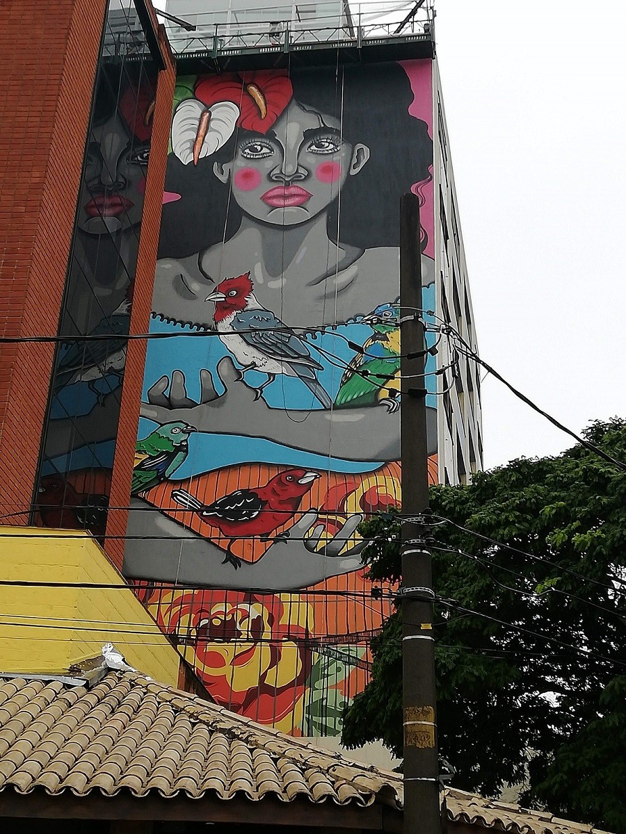 Fachada de prédio pintada pela artista Tikka Meszaros (Foto: Arquivo pessoal/ Tikka Meszaros)