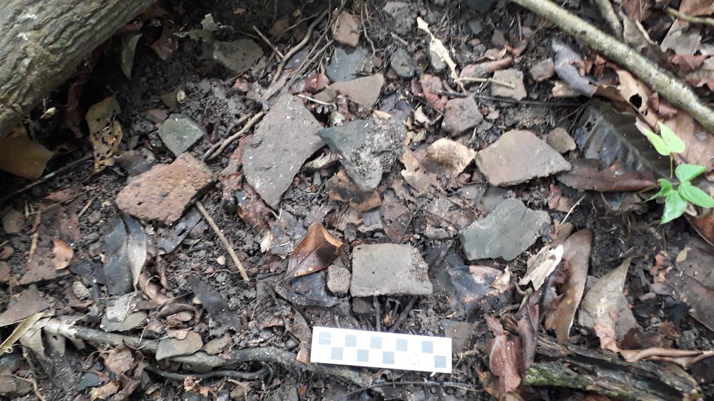 Resquícios de materiais foram encontrados nas ilhas artificiais identificadas na Amazônia.  — Foto: Márcio Amaral/Instituto Mamirauá