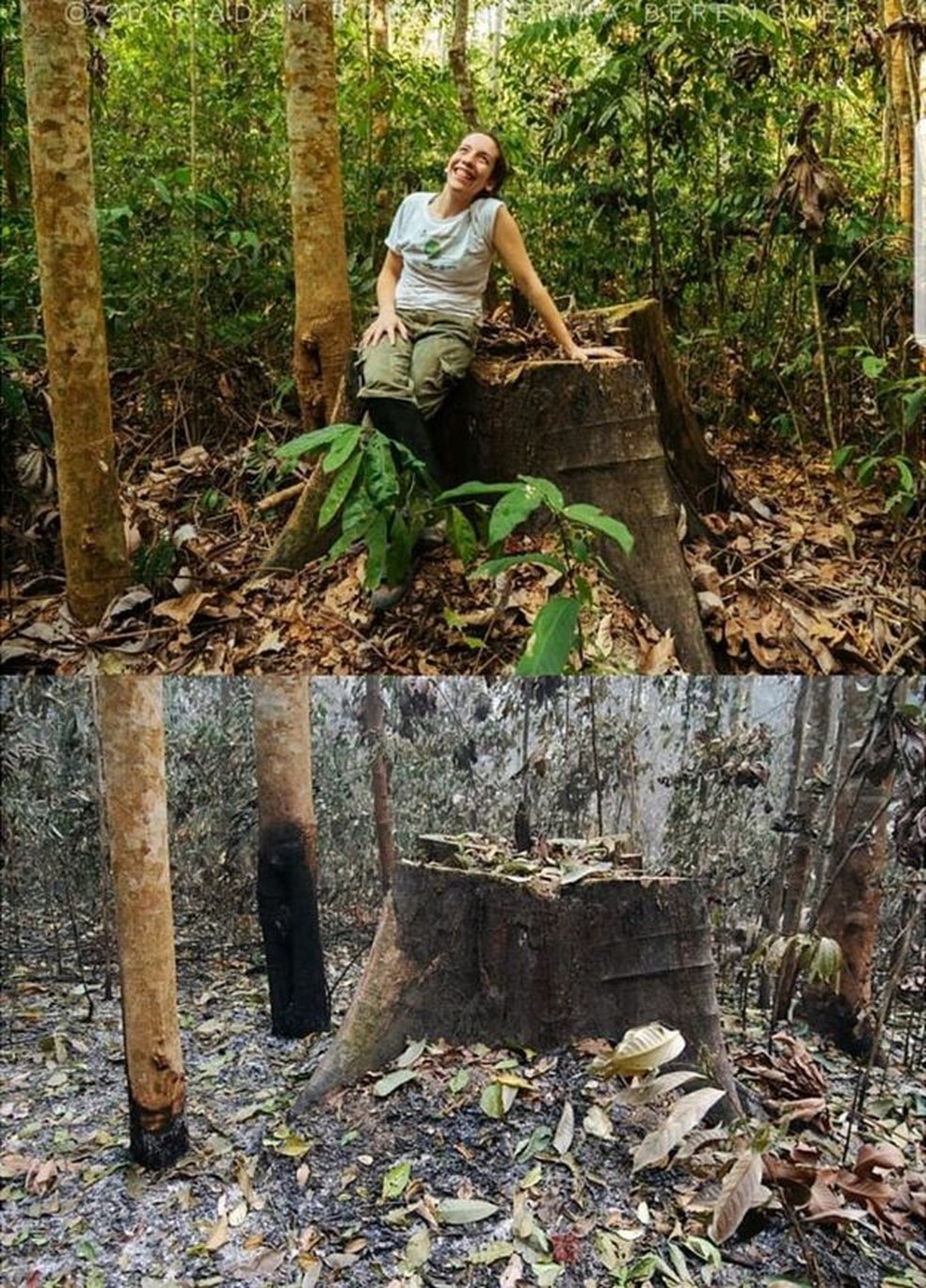 Pesquisadora da Universidade de Oxford, a brasileira Erika Berenguer estuda os efeitos do fogo na região amazônica — Foto: Erika Berenguer