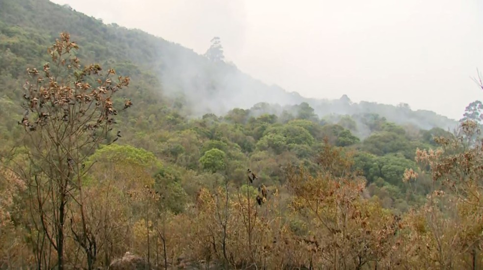 Fogo atinge Pico do Gavião em Andradas (MG) — Foto: Erlei Peixoto/EPTV