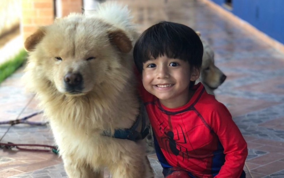 Rafael Castro, de cinco anos, com o Chow Chow Zarak — Foto: Thaís Castro/Arquivo pessoal