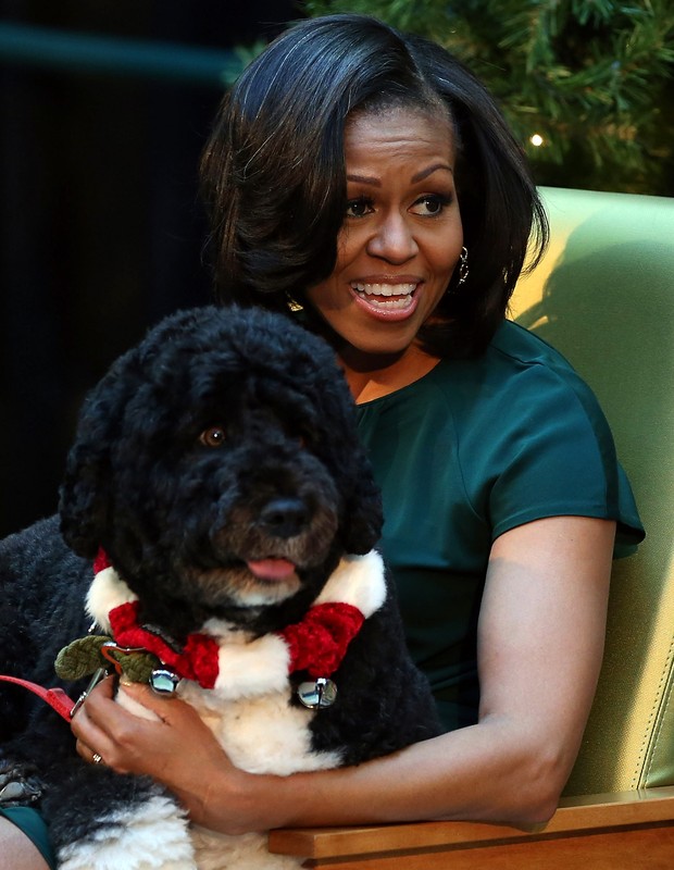 Morre Bo, cachorro da família Obama (Foto: Getty Images)