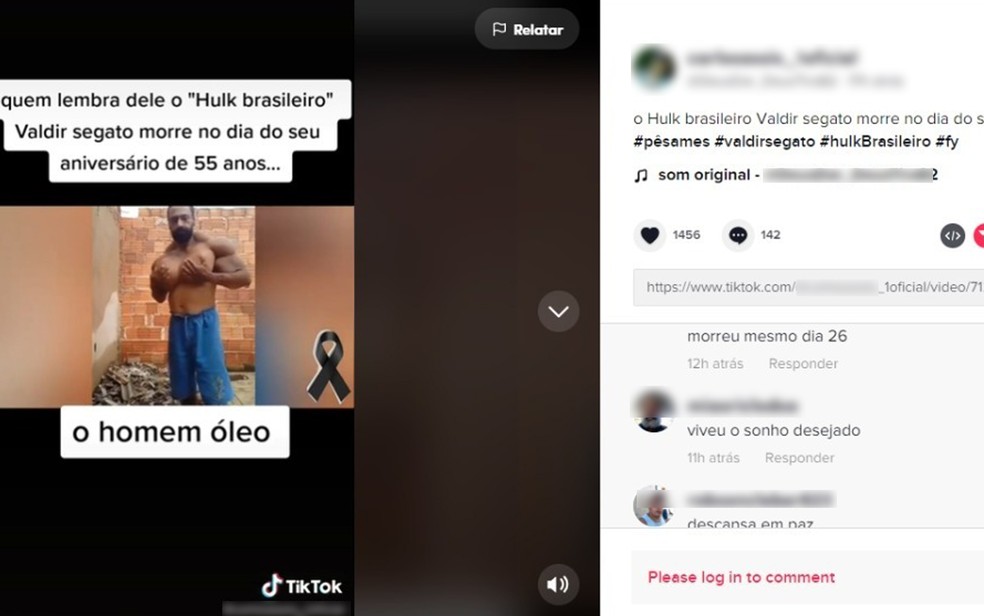 Seguidores lamentam morte de Hulk brasileiro em Ribeirão Preto, SP  — Foto: Tik Tok/Reprodução