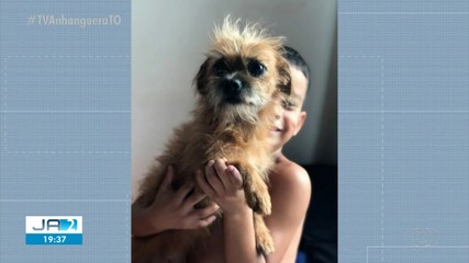 Menino de 9 anos pede ajuda para encontrar cadelinha que desapareceu