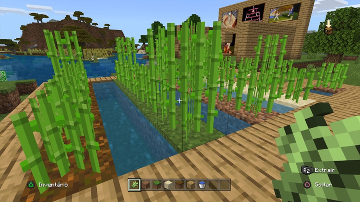 Como Plantar Cana De Acucar No Minecraft Jogos Casuais Techtudo Divida o caule da cana de açúcar em pedaços de 30 centímetros. como plantar cana de acucar no