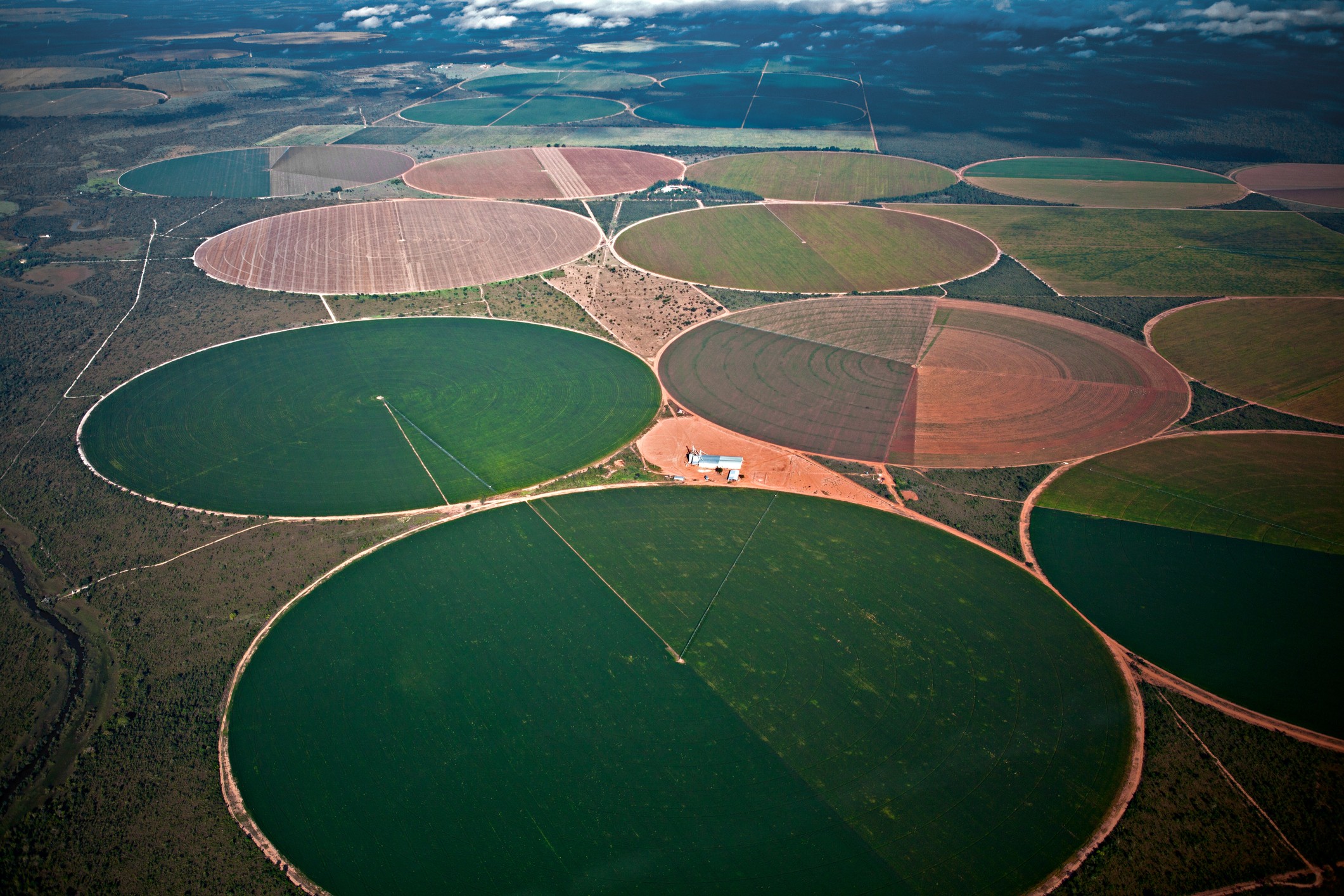 Vista panorâmica de plantações na Bahia (Foto: Getty Images)