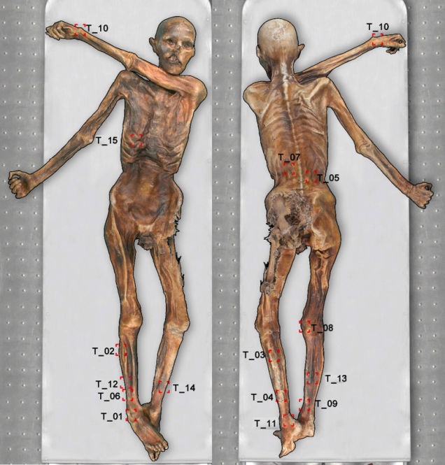 Localização das tatuagens de Ötzi (Foto: Divulgação)