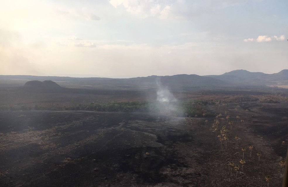 Incêndio na Chapada dos Veadeiros já destruiu mais de 64 mil hectares da unidade de conservação em Goiás, segundo o ICMBio (Foto: Vitor Santana/G1)