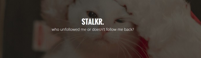 Stalkr mostra quem parou de te seguir e quem não te segue de volta no Tumblr (Foto: Reprodução/Stalkr)