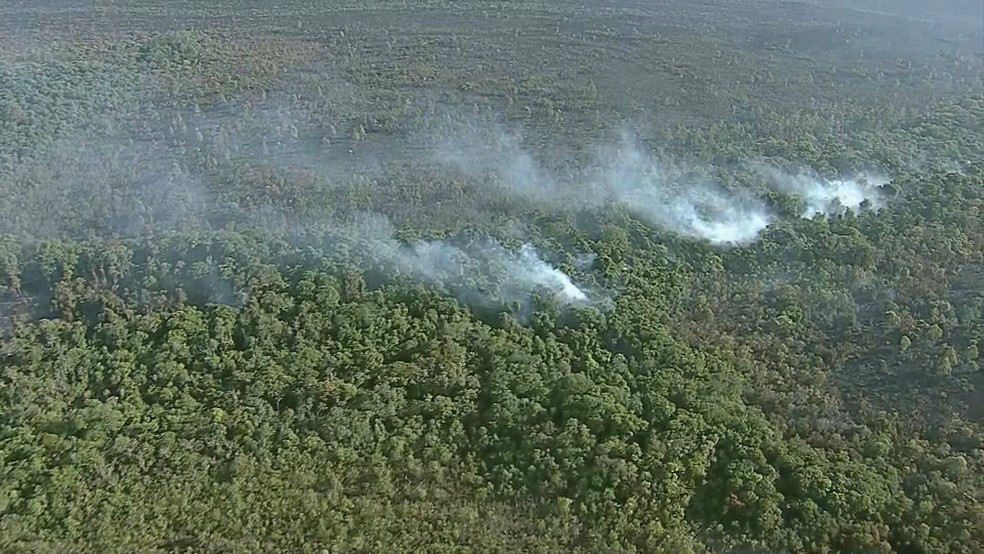 Incêndio Parque Nacional de Brasília chega ao quarto dia, nesta quinta-feira (8) — Foto: TV Globo/Reprodução