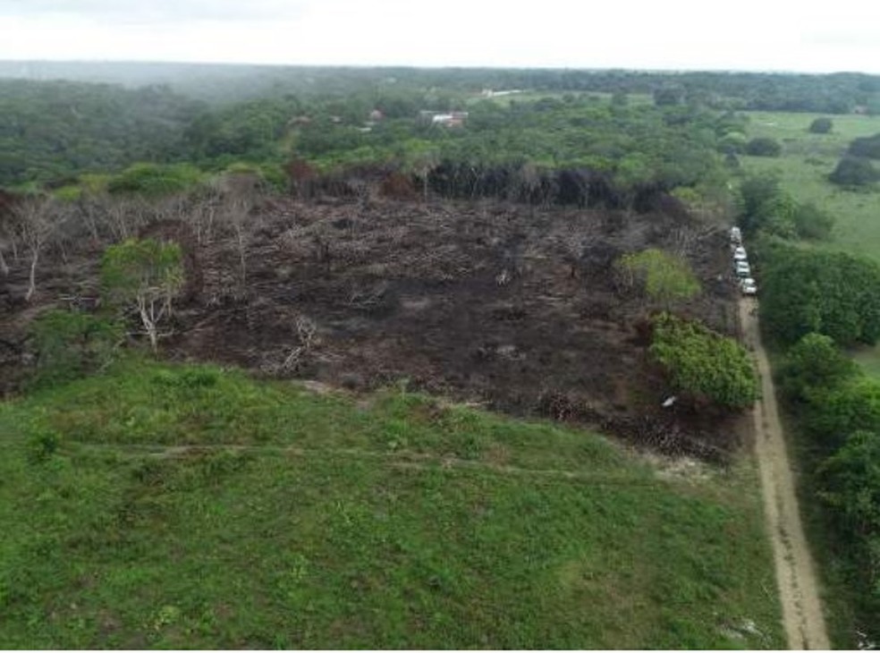 Desmantamento ilegal investigado foi de cerca de 2,4 hectares em Bayeux — Foto: Divulgação/MPPB