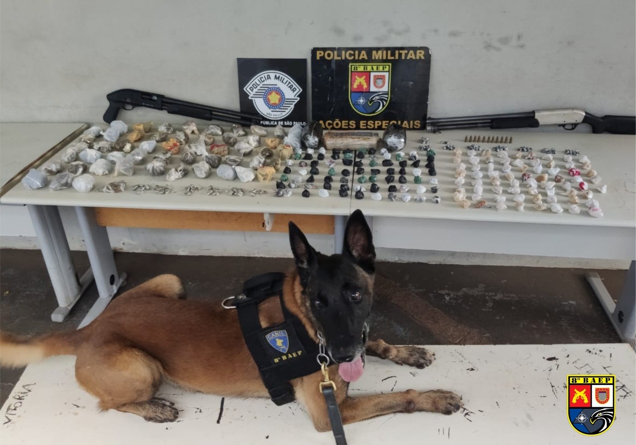 Cães farejadores encontram armas e drogas enterradas em matagal de Assis; vídeo