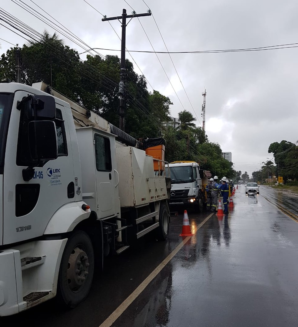 Equipes da Equatorial trabalham para restabelecer energia após queda de coqueiro em bairros de Maceió — Foto: Equatorial/Divulgação