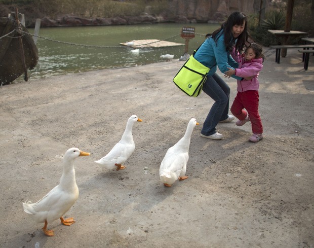 Mãe e filha fogem assustadas de patos que procuram comida em parque de diversões em Pequim, na China (Foto: Alexander F. Yuan/AP)